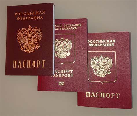 Шаг за шагом: процесс оформления гражданства РФ для детей.