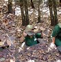 Image result for Viet Cong Tunnels