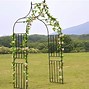 Image result for Climbing Plant Supports for Garden