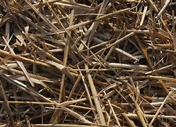 Image result for Chewing On Straw Meme