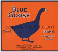Image result for Hermann Goering Blue Goose