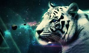 Image result for Cool Tiger Designs