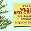 Image result for Red Cedar Trees Pictures
