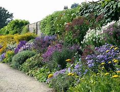 Image result for Perennial Flower Garden Border