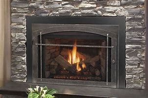 Image result for Wood Burner Fireplace Insert