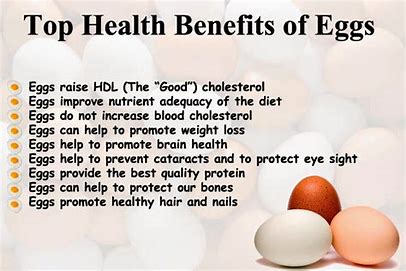 Image result for benefits of eggs