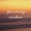 Image result for My Sunshine Quotes