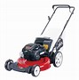 Image result for Lawn Boy Walk Behind Mowers