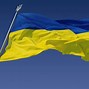 Image result for Ukraine War Flag