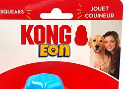 Image result for KONG Eon Fire Hydrant Dog Toy, Large, Multi-Color