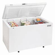Image result for Frost Free Chest Freezers for Garages