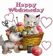 Image result for Good Morning Happy Wednesday Cats