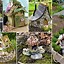 Image result for Items Needed to Make a Fairy Garden
