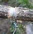 Image result for Snare Wire