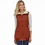 Image result for Patagonia Synchilla Vest