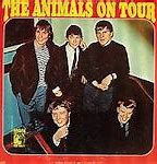 Image result for Tour Animals