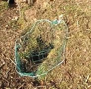 Image result for Rabbit Purse Net