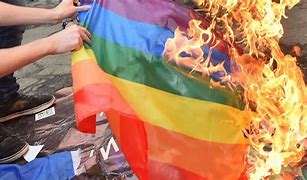 Image result for Burn the Pride Flag