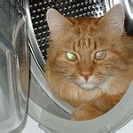 Image result for Compact Top Loading Washing Machine