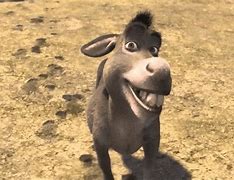 Image result for Shrek Donkey Angry