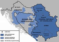 Image result for Austria Declared War On Serbia