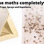 Image result for Moth Larvae Repellent