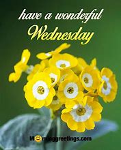 Image result for Good Morning Wednesday Sayings