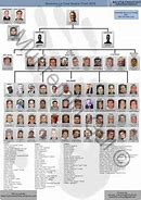 Image result for Colombo Family Chart