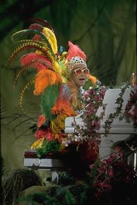 Image result for Elton John Feather Outfit