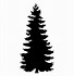 Image result for Cedar Tree Outline