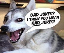 Image result for Clean Dad Jokes Meme