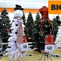 Image result for Big Lots Christmas Trees In-House
