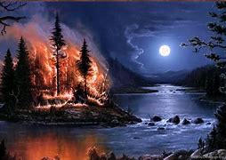 Image result for Fire HD 8 Tablet Wallpaper