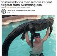 Image result for Crazy Florida