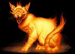 Image result for Fire Evil Cat