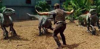 Image result for Chris Pratt Jurassic World with Velociraptor