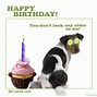 Image result for Give Me Some Funny Birthday Wishes