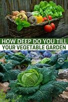 Image result for Tilling Home Vegetable Garden