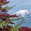 Image result for Famous Places in Japan Tokyo