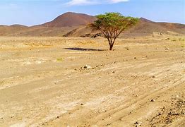 Image result for Sudan Landscape