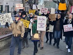 Image result for Impeachment Protest