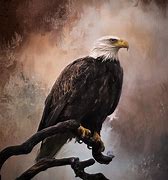 Image result for Painting of an Eagle