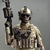 Image result for Special Forces Art