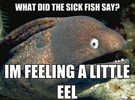 Image result for Funny Sick Animals