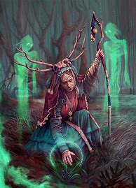 Image result for Shaman Wizard