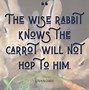 Image result for Inspirational Bunny Quotes