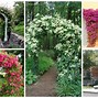 Image result for Garden Archway Ideas