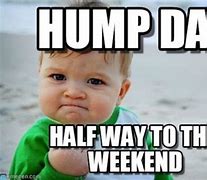 Image result for Its Hump Day Humor