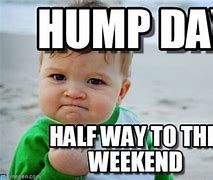 Image result for Happy Hump Day Work Meme