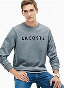 Image result for Lacoste Sweatshirt